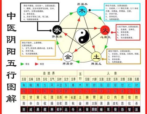 中醫五行對應人體五官|中醫知識 